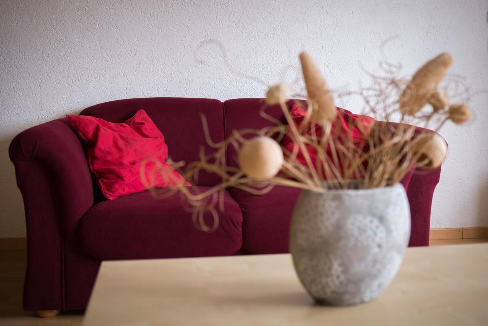 Bed and Breakfast Haus Nova Am Bollerberg Hallenberg Zewnętrze zdjęcie